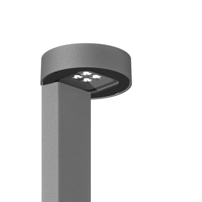 IF-Round Family-image