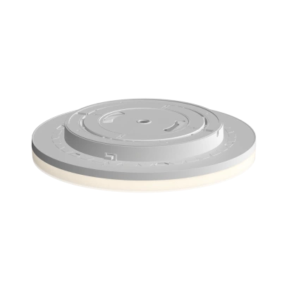 Rayflat-image