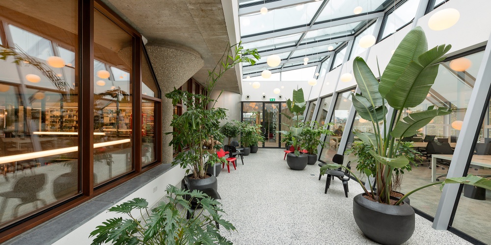 universiteit-leiden-image