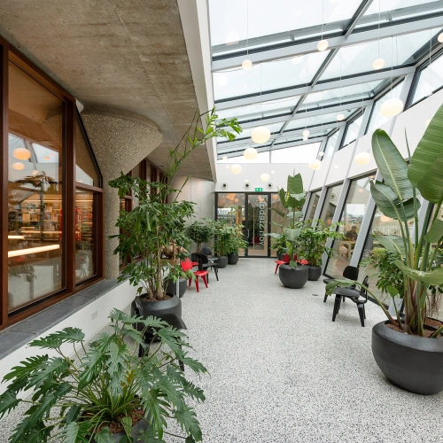 universiteit-leiden-image